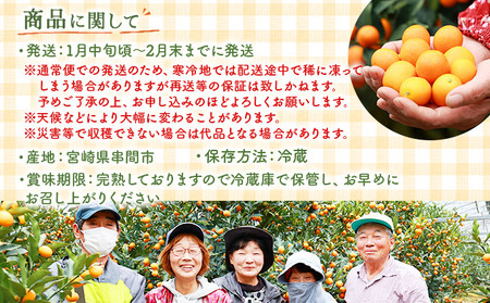 KU446 【訳あり】完熟きんかん１kg Ｌ～3Ｌサイズ 【玉様ファーム】