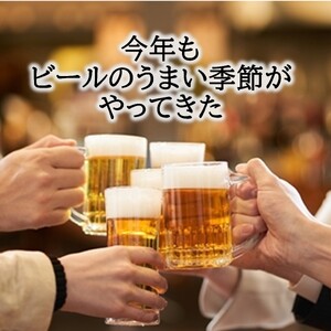 十勝・豊頃の農家が作ったクラフトビール330ml×6本【6回定期便】[№5891-0441]《お申し込みの翌月から出荷》