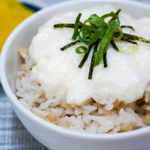 【訳あり】十勝豊頃産 ながいも8.5kg【2025年初冬出荷(先行受付)】【植村農場】