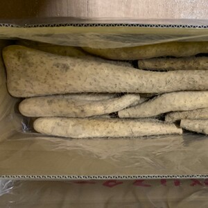 【訳あり】十勝豊頃産 ながいも8.5kg【2025年初冬出荷(先行受付)】【植村農場】