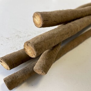 十勝豊頃産 ごぼう8.5kg【2025年初冬出荷(先行受付)】【植村農場】