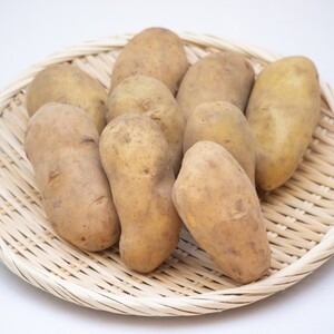 十勝野じゃがいも詰合せセット10kg（きたあかり・メークイン）【2026年秋出荷】（先行受付）［按田農場］