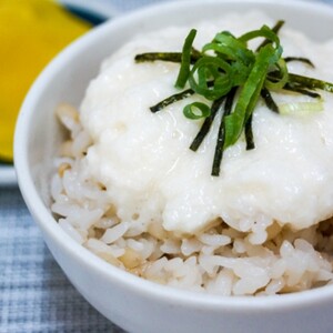 【訳あり】十勝豊頃産ながいも8.0kg 【2026年春出荷】（先行受付）【植村農場】