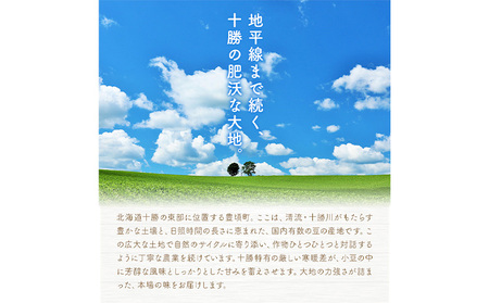 十勝 豊頃産 小豆 エリモショウズ 1.6kg 松﨑農場　北海道 豊頃町 あずき アズキ しょうず 特産 農家直送 送料無料　《30日以内に出荷予定(土日祝除く)》