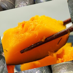 北海道十勝豊頃栗南瓜約8kg（4～6玉）【2026年秋出荷】（先行受付）【工房みみずく】