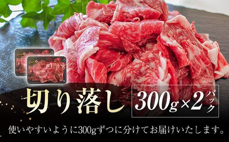 【3ヶ月定期便】宮崎牛  切落とし　600g×3回  A4等級以上 ブランド 内閣総理大臣賞4連覇　国産牛肉＜3.5-17＞