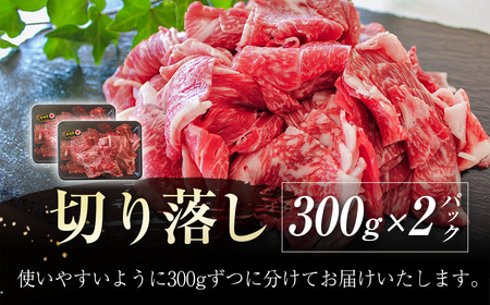 12月31日終了【６回定期便】宮崎牛  切落とし  600ｇ×6回  A4等級以上 ブランド 内閣総理大臣賞4連覇　国産牛肉＜7-1＞