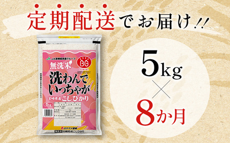 【8ヶ月定期便】宮崎県産コシヒカリ無洗米　5kg×8回＜6-23＞