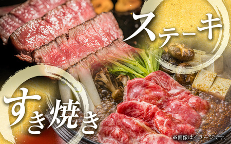 【4ヶ月定期便】宮崎牛 赤身尽くし定期便　合計2.4kg　国産牛肉＜9-6＞WWT