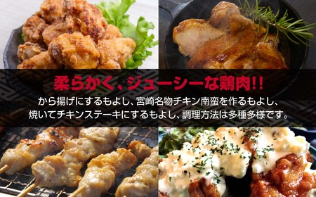 【5回定期便】宮崎県産若鶏　もも肉むね肉6㎏×5回　合計30㎏　国産鶏肉　2025年2月発送開始＜7.5-1＞