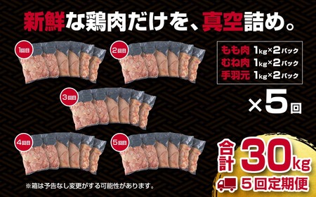 【5回定期便】宮崎県産若鶏　もも肉むね肉6㎏×5回　合計30㎏　国産鶏肉　2025年2月発送開始＜7.5-1＞