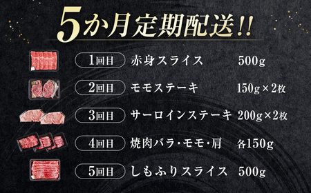 【5カ月定期便】宮崎牛　焼肉 スライス ステーキ  A4等級以上 ブランド 内閣総理大臣賞4連覇　国産牛肉＜9-7＞WWT