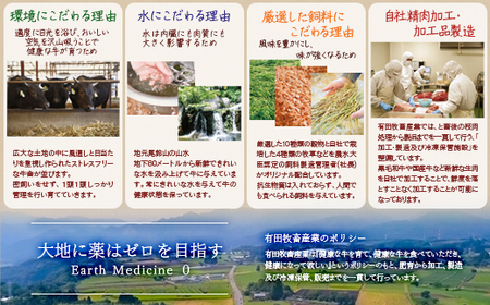 【お歳暮】黒毛和牛　希少部位を含むおまかせ特選焼肉　500g　国産牛肉＜1.5-223＞