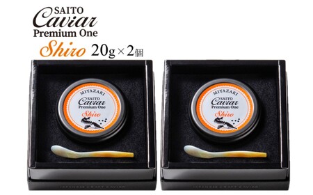 SAITO CAVIAR PREMIUM ONE SHIRO 40g キャビア 西都市オリジナル＜7.5