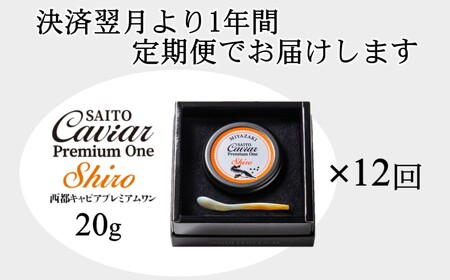 定期便】SAITO CAVIAR PREMIUM ONE SHIRO 20g×12カ月 キャビア 西都市