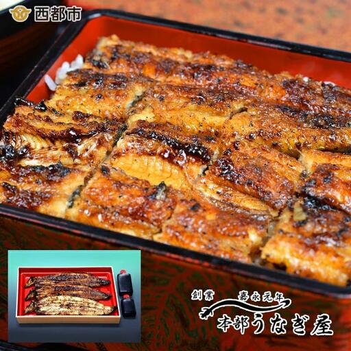 老舗「本部うなぎ屋」国産鰻の蒲焼２尾 白焼き１尾セット＜4.6-2＞