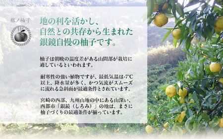 「銀の柚子」PREMIUM有機ゆず製品詰め合わせ＜1.5-11＞