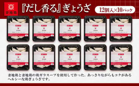 妻地鶏ぎょうざ詰合せ45　12個×10パック＜1.5-13＞