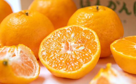 【先行予約】宮崎県西都産　宝財原やのぽんかん　約5kg＜1.4-9＞