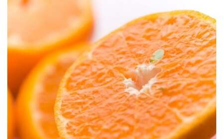 【先行予約】宮崎県西都産　宝財原やのぽんかん　約5kg＜1.4-9＞