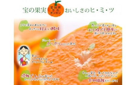 【先行予約】宮崎県西都産　宝財原やのぽんかん　約5kg＜1.4-9＞