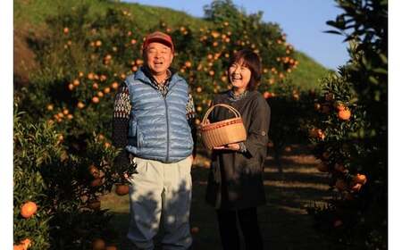 【先行予約】宮崎県西都産　宝財原やのぽんかん　約5kg＜1.4-9＞