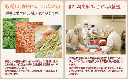 黒毛和牛　特上おまかせ焼肉極み300g　宮崎有田牧場　EMO牛　国産牛肉＜1.1-40＞＊