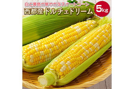 西都産 白と黄色が鮮やかなスイートコーン【ドルチェドリーム】約5kg<1.2-13>