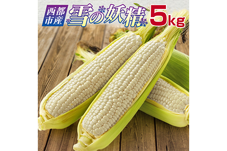 西都産 白いスイートコーン【雪の妖精】約5kg<1.2-12>