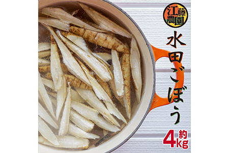 江藤農園 水田ごぼう20袋入 約4kg<1-120>