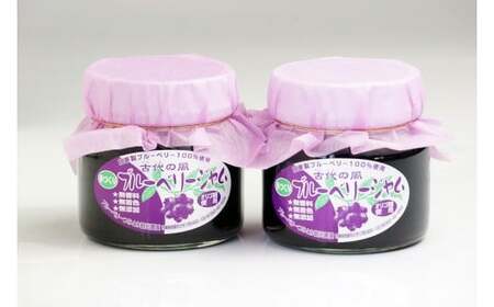 『古代の風』無農薬ブルーベリージャムBig 260g×2個＜1-131＞