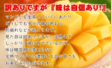 【先行予約】訳あり　よくばり完熟マンゴーセット約1.2kg「ご家庭用」スターフルーツカンパニー宮崎県西都産　2024年発送＜1.7-30＞