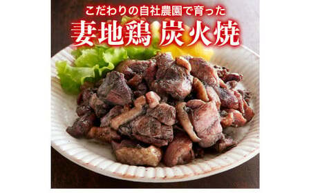 妻地鶏骨付もも焼・炭火焼セット30　380g×1本+100g×2パック＜1-137＞＊