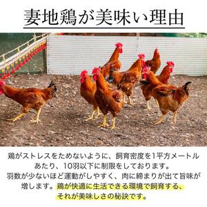 妻地鶏骨付もも焼・炭火焼セット30　380g×1本+100g×2パック＜1-137＞＊