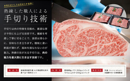 【最高品質のA5等級 西都和牛】黒毛和牛食べ比べ焼肉セット 600g(200g×3) 赤身・カルビ 小分け 宮崎県産 カミチクファーム<1.7-35>