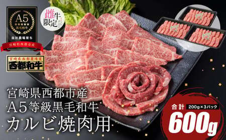 【最高品質のA5等級 西都和牛】黒毛和牛カルビ焼肉600g 小分け カミチクファーム＜1.9-5＞