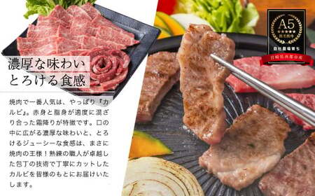 【最高品質のA5等級 西都和牛】黒毛和牛カルビ焼肉600g 小分け カミチクファーム＜1.9-5＞