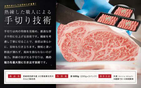【最高品質のA5等級 西都和牛】黒毛和牛カルビ焼肉600g 小分け カミチクファーム＜1.9-5＞