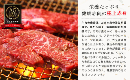 【最高品質のA5等級 西都和牛】黒毛和牛赤身焼肉 600g(200g×3) カミチクファーム<1.4-6>