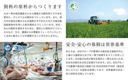 【最高品質のA5等級 西都和牛】黒毛和牛赤身焼肉 600g(200g×3) カミチクファーム<1.4-6>