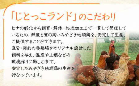 みやざき地頭鶏　炭火焼・ウインナーセット＜1.5-24＞