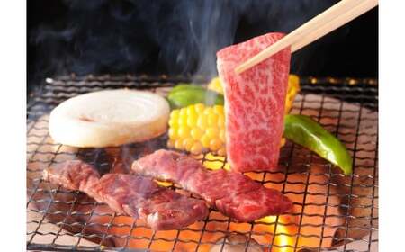 黒毛和牛　特上焼肉極み500g　宮崎有田牧場　EMO牛　国産牛肉＜1.8-23＞