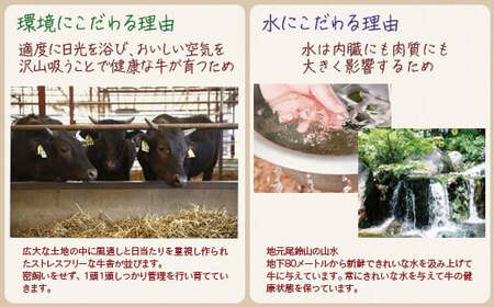 黒毛和牛　特上焼肉極み500g　宮崎有田牧場　EMO牛　国産牛肉＜1.8-23＞