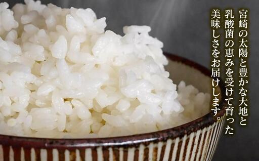 【令和8年産新米・先行予約】農家直送　こしひかり 5kg  精米済み 8月より発送開始＜57-1a＞