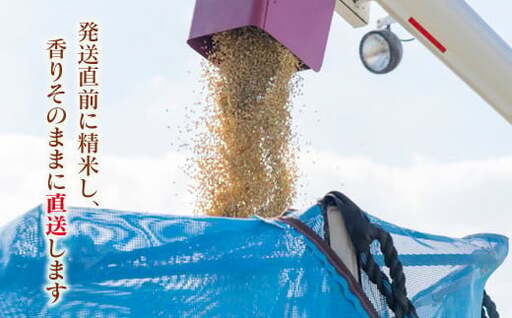 【令和8年産新米・先行予約】農家直送　こしひかり 5kg  精米済み 8月より発送開始＜57-1a＞