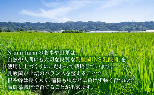 【令和8年産新米・先行予約】農家直送　こしひかり 5kg  精米済み 8月より発送開始＜57-1a＞