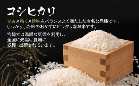 【2026年1月発送】令和7年産米こしひかり 『この華米』5kg <1.5-41>精米 白米 コシヒカリ