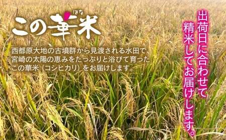 【2026年1月発送】令和7年産米こしひかり 『この華米』5kg <1.5-41>精米 白米 コシヒカリ