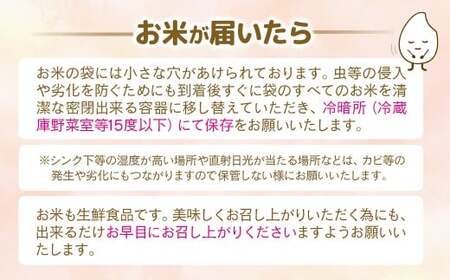 【2026年1月発送】令和7年産米こしひかり 『この華米』5kg <1.5-41>精米 白米 コシヒカリ