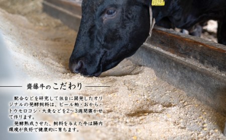 宮崎和牛「齋藤牛」ローストビーフ450g　国産牛肉＜2-98＞